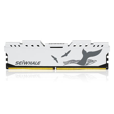 梟鯨 DDR5 臺(tái)式機(jī)馬甲條 電競(jìng)漫游系列