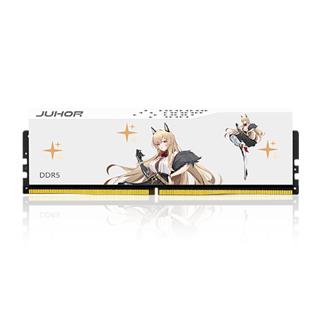 玖合 DDR5 臺(tái)式機(jī)馬甲條 玲瓏系列
