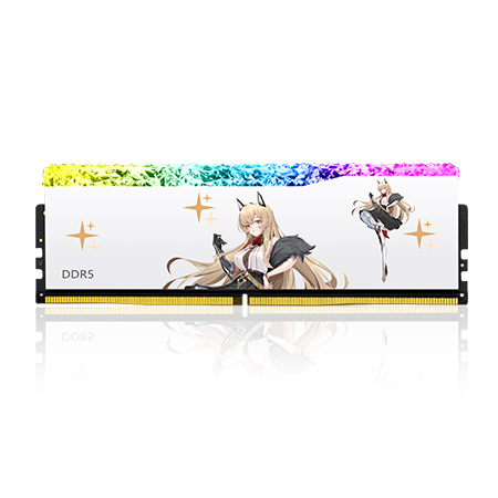玖合 DDR5 臺(tái)式機(jī)RGB燈條 玲瓏系列
