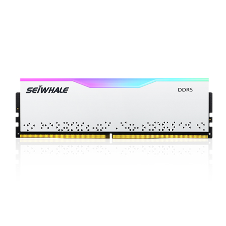 梟鯨 DDR5 臺(tái)式機(jī)RGB燈條 審判者系列 